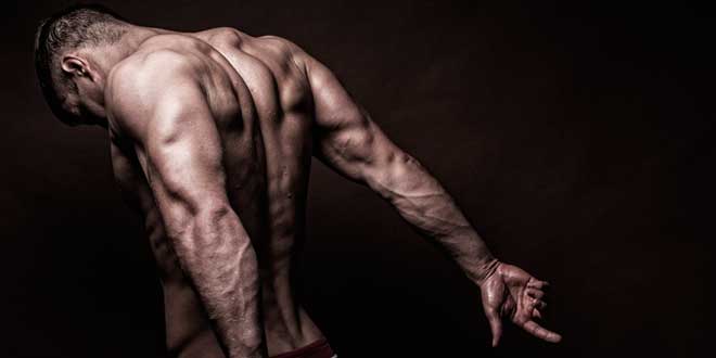 Weight Gainer