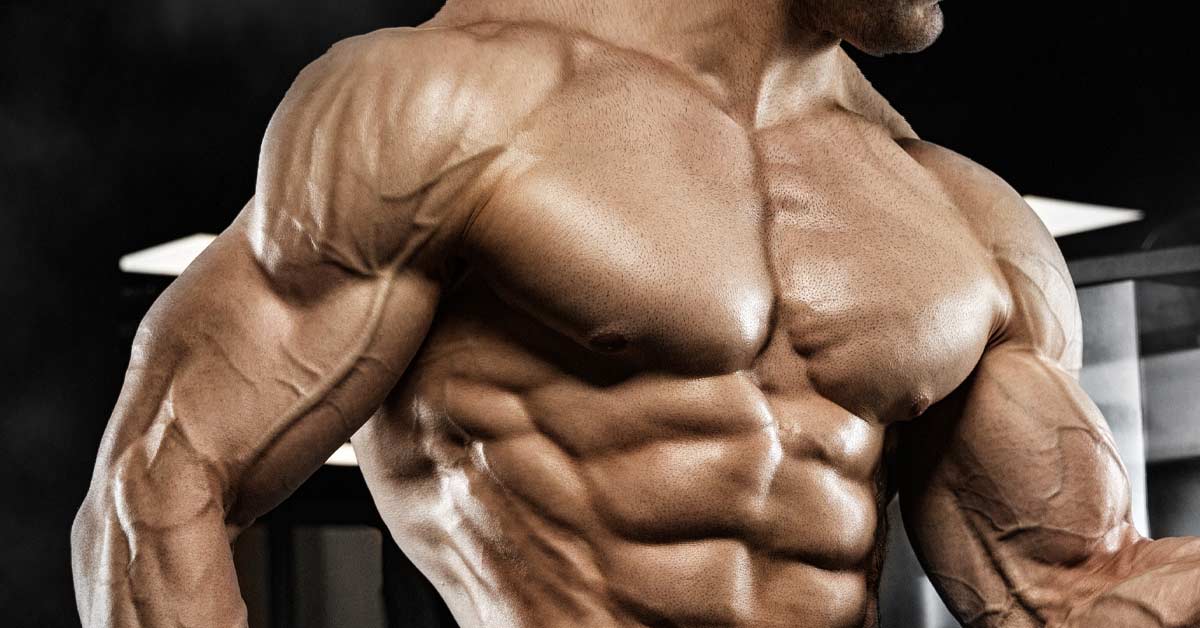 Creatine work for Muscle Growth