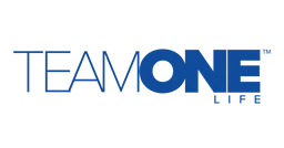 Team One